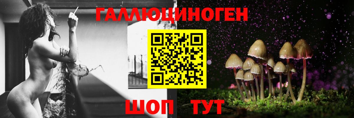 Фрязино  Псилоцибиновые грибы Psilocybine cubensis  Вход с VPN  Псилоцибиновые грибы мицелий 
